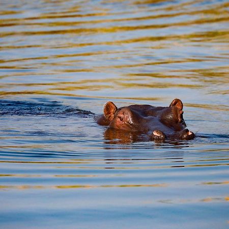 Zambezi Dusk Βίλα Λίβινγκστον Εξωτερικό φωτογραφία