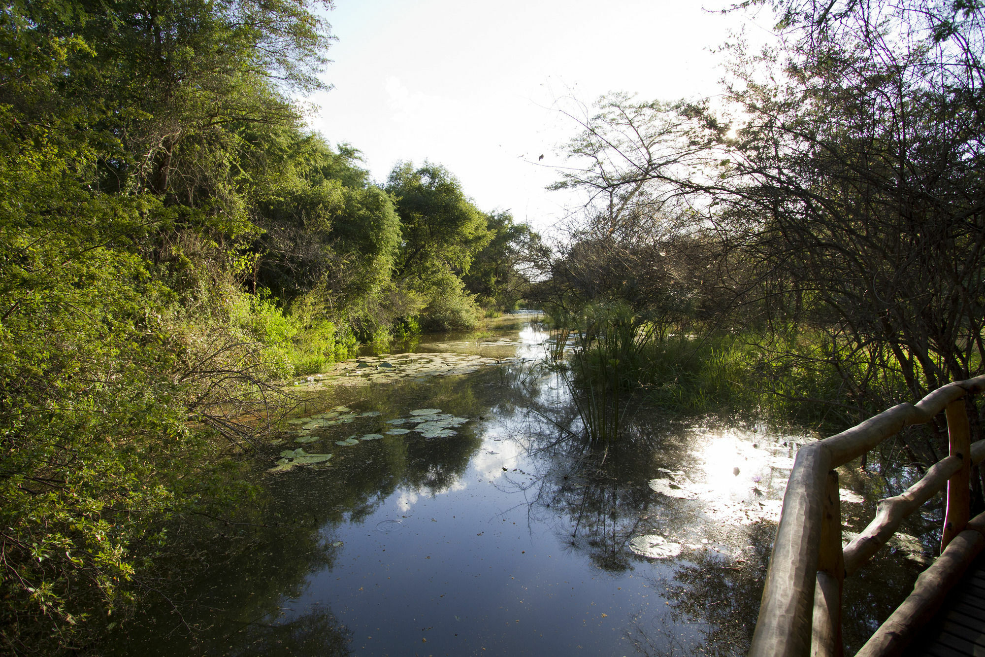 Zambezi Dusk Βίλα Λίβινγκστον Εξωτερικό φωτογραφία